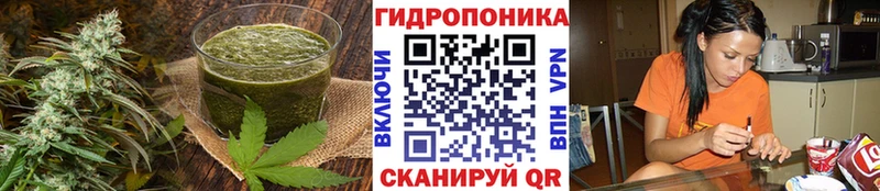 где купить наркоту  Юрьевец  Cannafood марихуана 