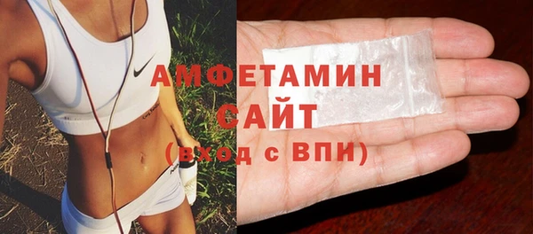 шишки Аркадак