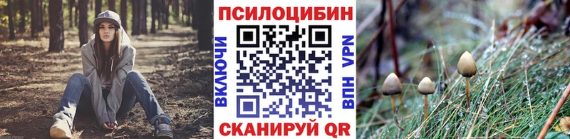 как найти закладки  Юрьевец  Галлюциногенные грибы ЛСД 